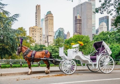 Passeio de Charrete pelo Central Park em Nova York