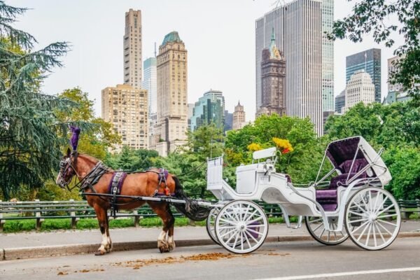 passeio de charrete Central Park