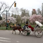 Passeio de Carruagem com Parada no Tavern on the Green