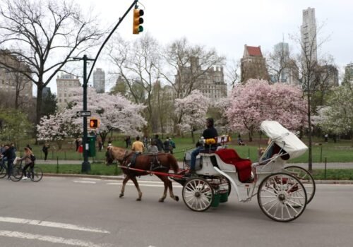 Passeio de Carruagem com Parada no Tavern on the Green