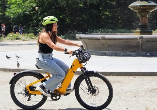 Aluguel de E-Bike para Central Park e Downtown em Nova York