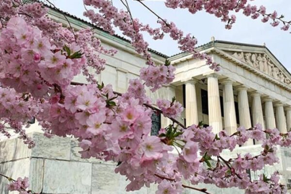 19 Atividades Imperdíveis em Abril de 2026 em Nova York