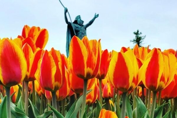 Fins de Semana de Primavera Imperdíveis em Nova York